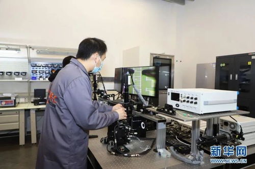 强健创新链 培育产业链 在双循环格局中谋新机——聚焦计算机软硬件及辅助设备批发行业